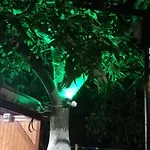 под ореха Pismenovo