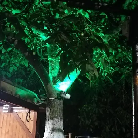 под ореха Pismenovo